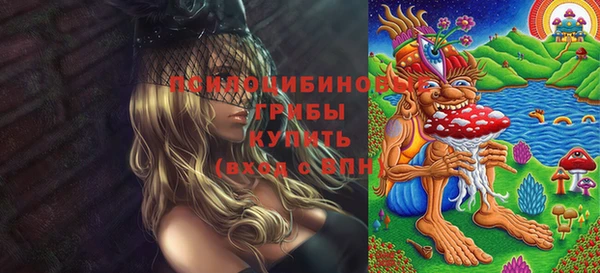 сатива Липки